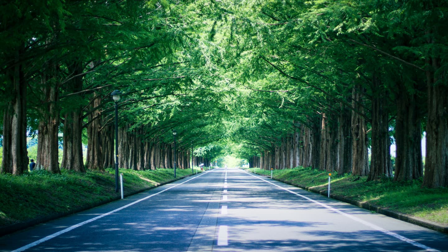 回りはガラス製の昔ながらのライターです。